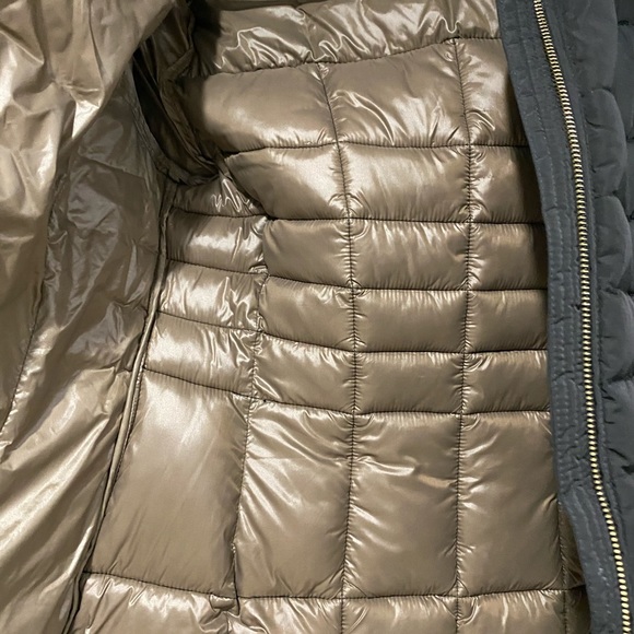 Calvin Klein - Picture 4 of 10